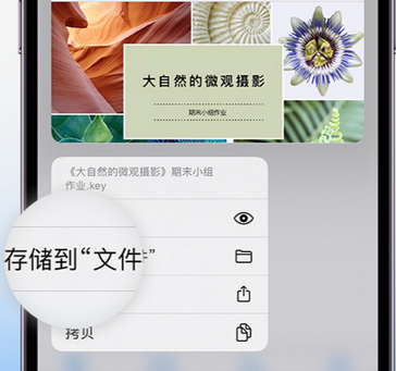 武陵源apple维修中心分享iPhone文件应用中存储和找到下载文件