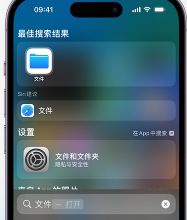 武陵源apple维修中心分享iPhone文件应用中存储和找到下载文件 