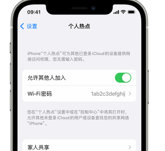 武陵源apple服务站点分享iPhone上个人热点丢失了怎么办