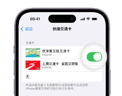 武陵源apple维修点分享iPhone上更换Apple Pay快捷交通卡手绘卡面 