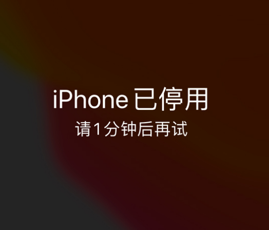 武陵源苹果手机维修分享:iPhone 显示“不可用”或“已停用”怎么办？还能保留数据吗？ 