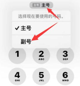 武陵源苹果14维修店分享iPhone 14 Pro Max使用副卡打电话的方法 