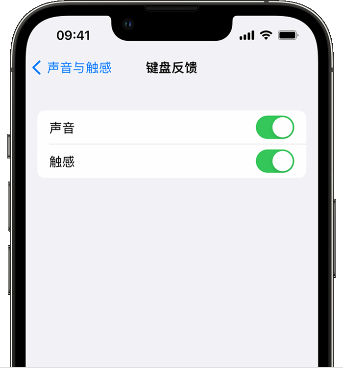 武陵源苹果14维修分享iPhone 14 系列机型如何开启键盘声音或触感反馈 