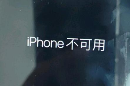 武陵源苹果服务网点分享锁屏界面显示“iPhone 不可用”如何解决 