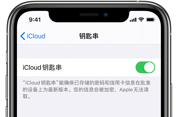 武陵源苹果手机维修分享在 iPhone 上开启 iCloud 钥匙串之后会储存哪些信息 