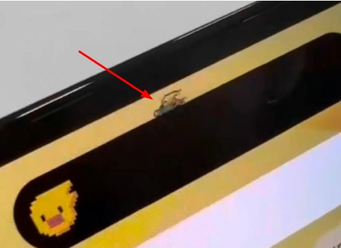 武陵源苹果14维修分享iPhone 14 Pro Max灵动岛怎么养宠物 