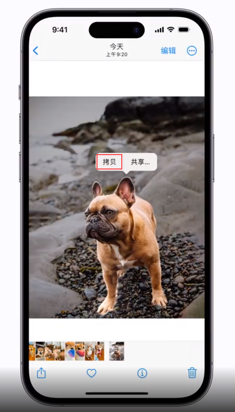 武陵源苹果手机维修分享 iOS 16 自带一键抠图功能 