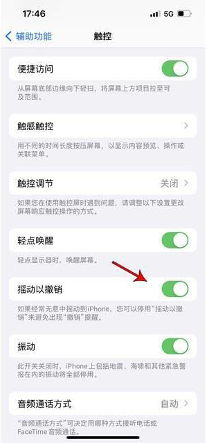 武陵源苹果手机维修分享iPhone手机如何设置摇一摇删除文字 