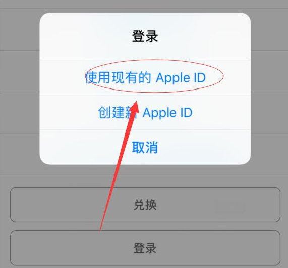 武陵源苹果手机维修分享两台iPhone设备可以同时登录一个Apple ID吗 