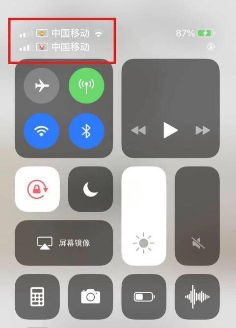 武陵源苹果手机维修分享为 iPhone 12 双卡设置标签 