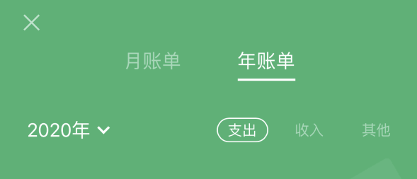 武陵源苹果手机维修分享如何在 iPhone 上查看支付宝和微信年支出账单 